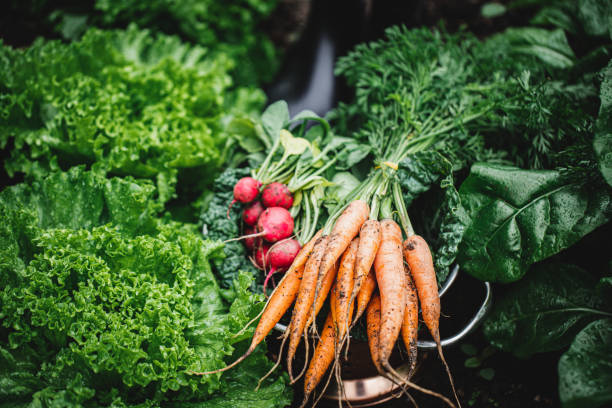Vegetables