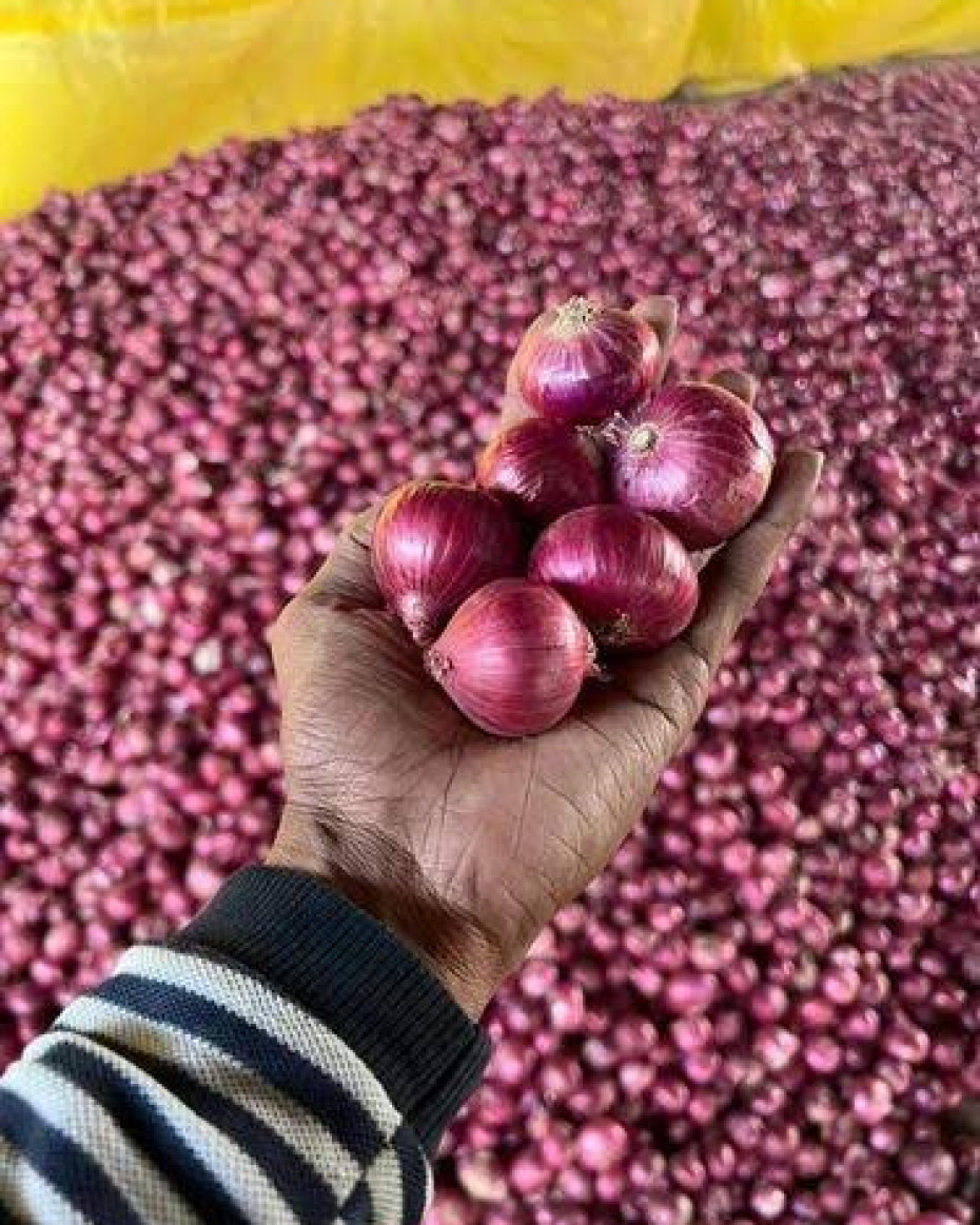 Red Onions Small - Medium Size Pack