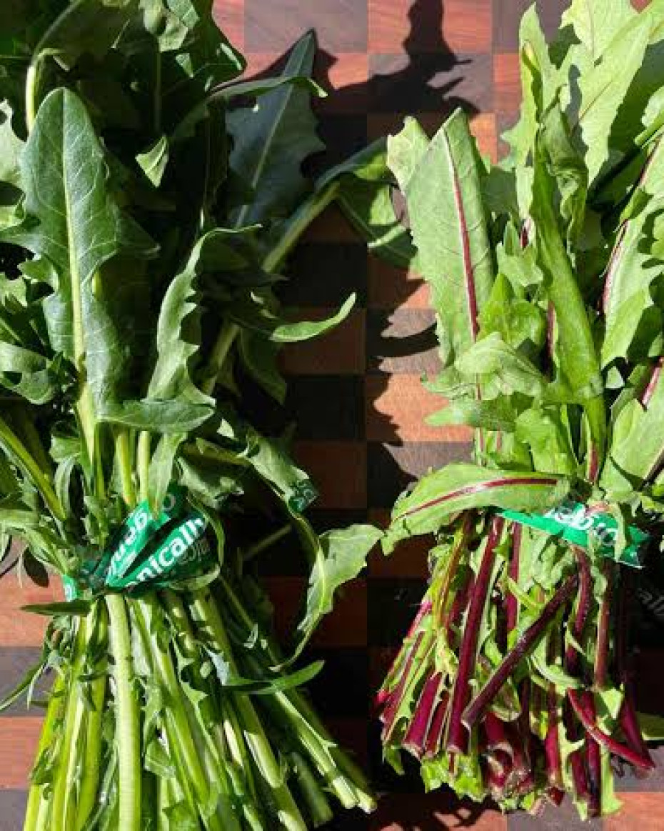 A bunch of Dandelion - 100g