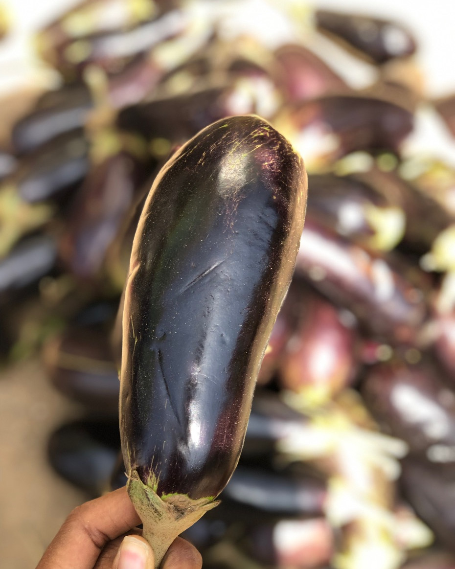 1kg Eggplant - Approx. 5 - 8pcs