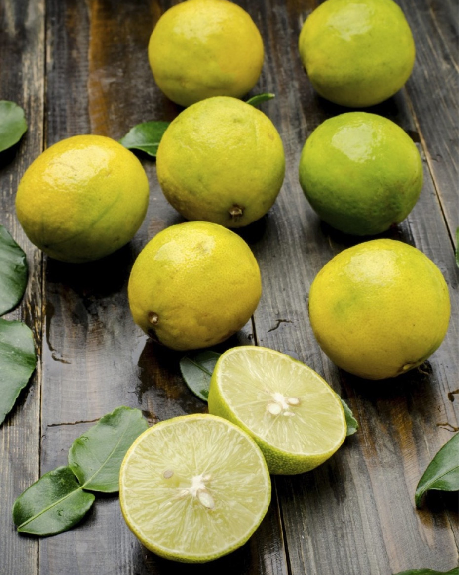 Lime