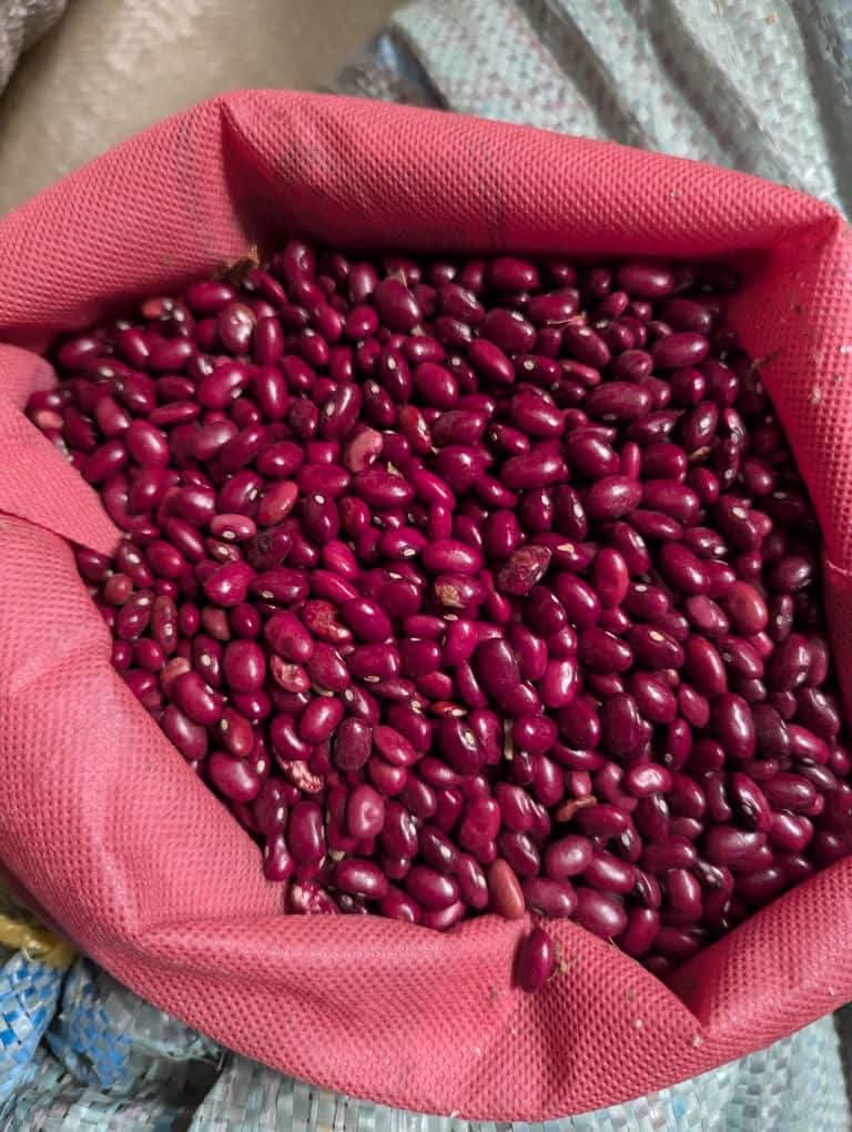 Red Kidney Beans