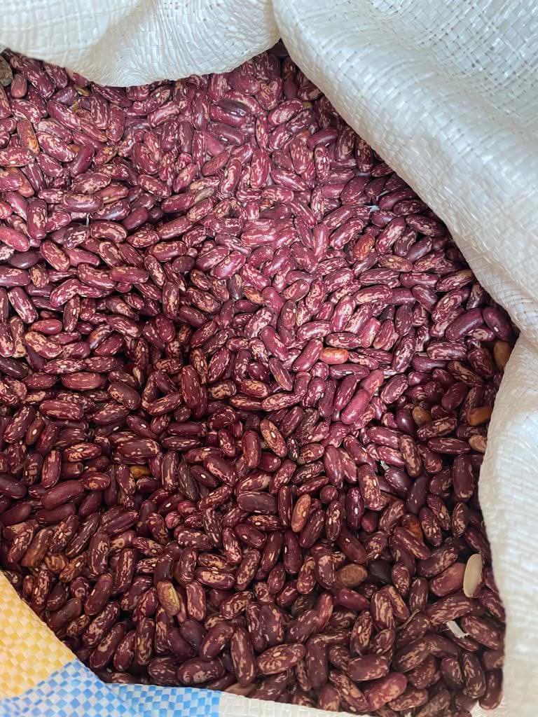Nyayo Beans