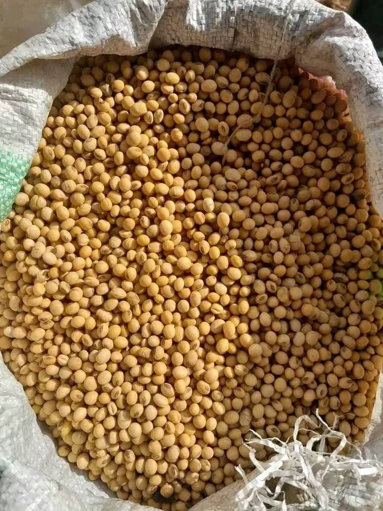 Peas