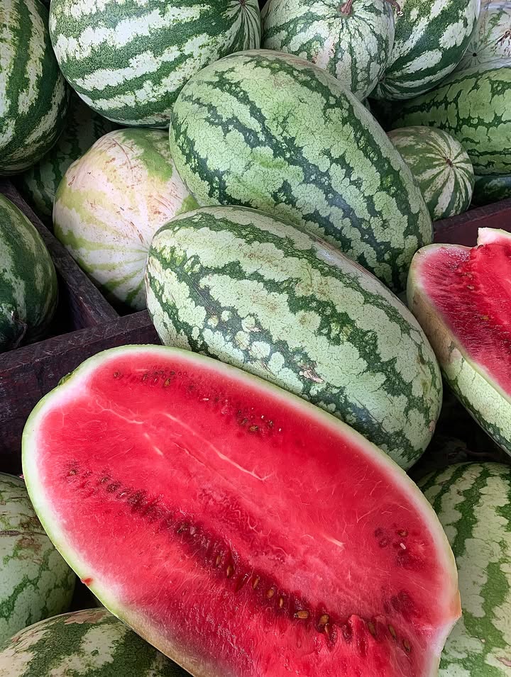 Watermelon
